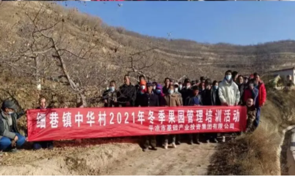 星空平台在静宁帮扶村开展冬季果园管理培训(图6)