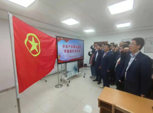 星空平台团委召开2021年度专题组织生活会(图5)