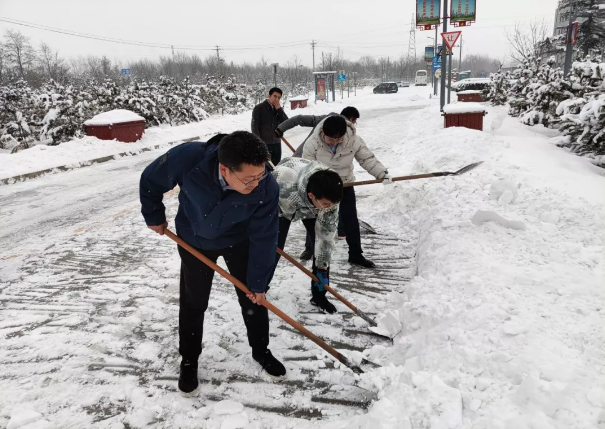 星空平台组织全体员工扫雪除冰(图2)